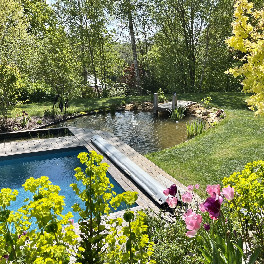 amenagement bassin piscine naturelle terrasse bois 78 yvelines orgeval saint nom la breteche chambourcy saint germain en laye vesinet jardin paysagiste  
