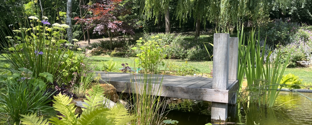 amenagement bassin piscine naturelle terrasse bois 78 yvelines orgeval saint nom la breteche chambourcy saint germain en laye vesinet jardin paysagiste  