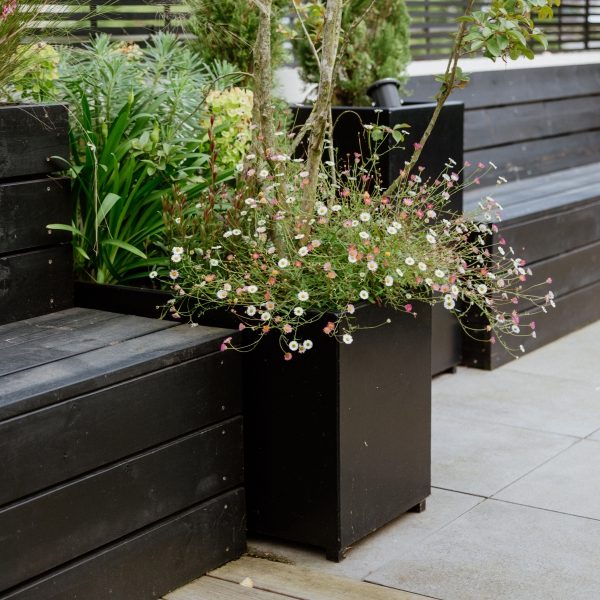  aménagement terrasse Neuilly‑sur‑Seine, terrasse bois exotique, palissade végétale, arrosage automatique, éclairage extérieur, mobilier outdoor.